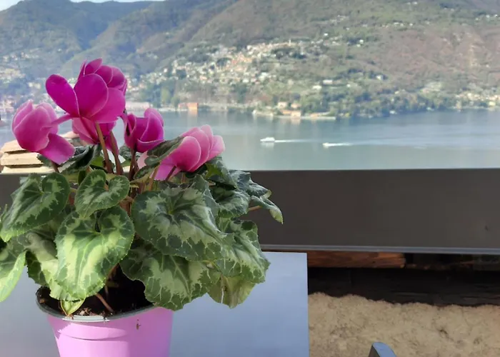 Guest house Luxury La Terrazza Sul Di 3*